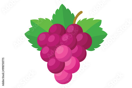 A bunch of purple grapes with green leaves