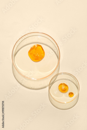 Petri dishes with different...