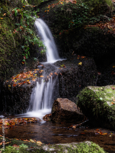 wcascade forestière 