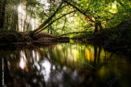 reflection dans le lac