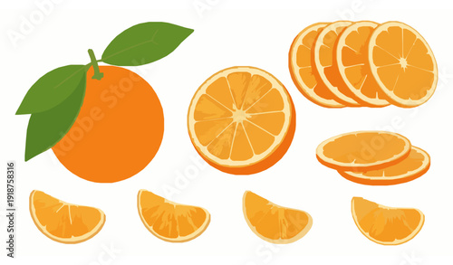 Fresh Orange Fruit Set with Whole and Sliced Citrus Vector Illustration