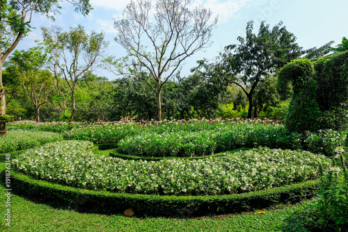 Park and  flower garden  at city center in Bangkok,Thailand