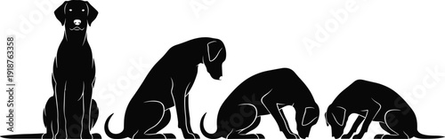 Dog posture progression, sitting to bow silhouette, canine training sequence vector illustration, pet behavior artwork design, animal movement concept, flavector