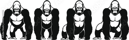 Gorilla posture progression, silhouette transformation, primate stance evolution, wildlife vector illustration, animal artwork design, muscular gorilla outline, nature concept, flavector