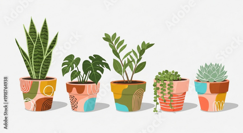 Vibrant colorful potted plants with various textures and patterns on pots indoor gardening home decor decorative pots green plants