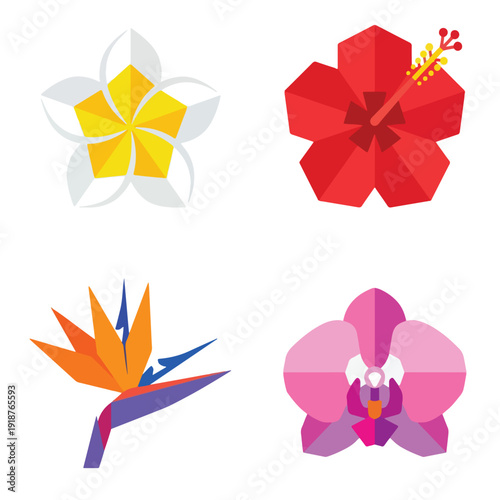Tropical Frangipani Hibiscus and Orchid Flower Icon Set