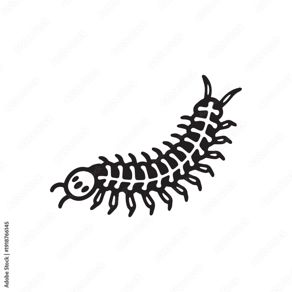 Obraz premium Hand Drawn Black and White Centipede Millipede Insect Silhouette Vector Art Illustration.
