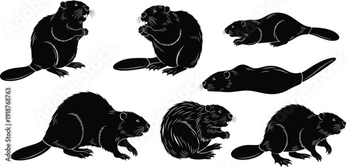 Black beaver silhouette collection detailed wildlife rodent illustrations isolated on white background vintage engraving style animal set