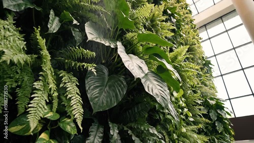 Lush vertical garden teeming with diverse green foliage and tropical plants indoors