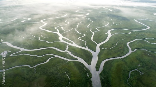 Aerial view of winding river delta, green marshland landscape with branching water channels, misty wetland ecosystem from above