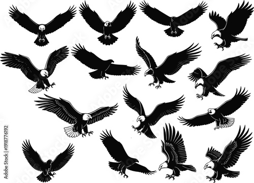 Black eagle silhouettes flying, landing, soaring, hunting, wings spread wide, talons extended, dynamic bird poses for design, illustration, decoration