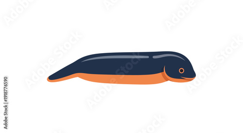 Leech illustration, vector style graphic, medical concept, isolated design, healthcare.