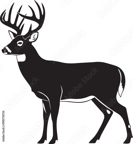 Black and White Silhouette of a Whitetail Deer Buck with Large Antlers Isolated on - stock vector.