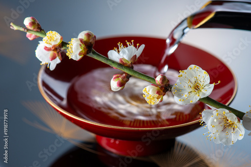 Konstfotografi 梅の花と盃