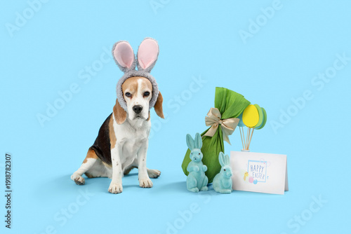 Cute Beagle dog in bunny ea...