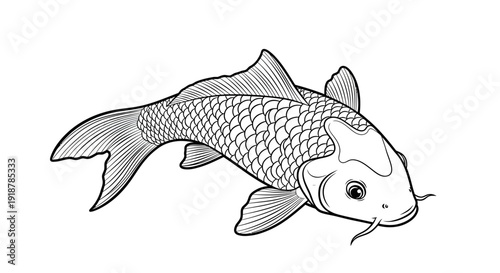 Detailed black and white illustration of a koi fish.
