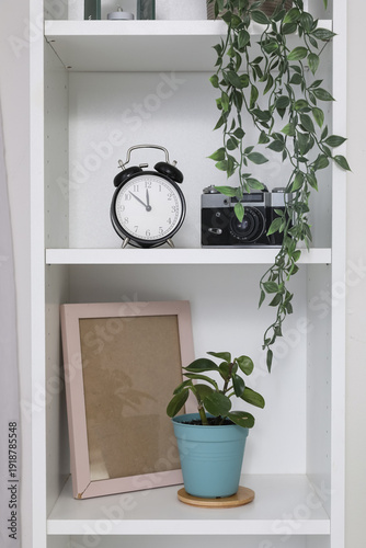 White bookshelf with housep...
