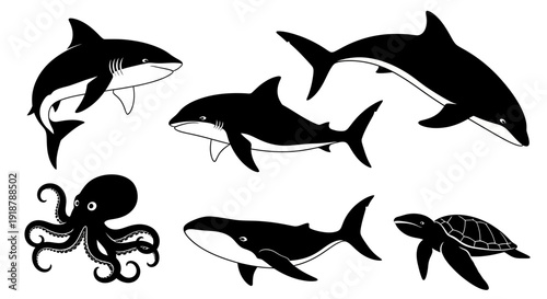 Black and White Vector Illustrations of Marine Animals Sharks Octopus Whale Turtle.