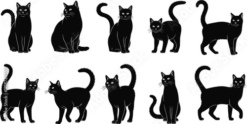 Cat silhouette vector illustration collection with diverse poses, tail positions, sleek feline artwork design, decorative black graphics, animal posture study
