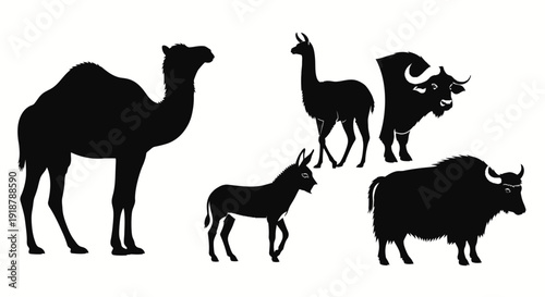 Silhouette icons of various animals including camel llama buffalo and donkey.