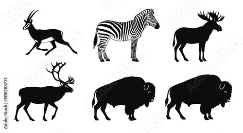 Silhouettes of Wild Animals Including Impala Zebra Moose Elk and Bison.