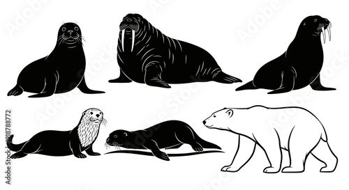 Black and White Line Drawings of Arctic Marine Mammals Walruses Seals Otters and Polar Bears.