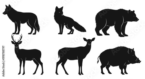 Silhouette Illustrations of Wild Forest Animals Wolf Fox Bear Deer and Boar.