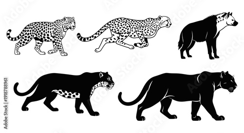 Black and White Silhouette Illustrations of Cheetahs Leopards Panthers and Hyenas in Various Poses.