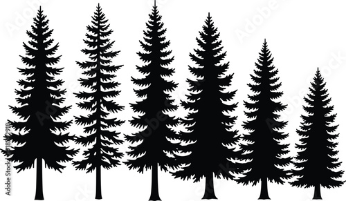 Pine tree silhouette vector illustration, forest landscape design, evergreen nature artwork, woodland emblem, outdoor scenery, black silhouette composition