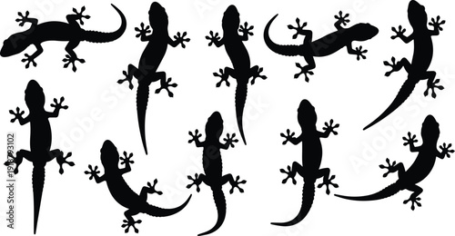 Gecko silhouettes in diverse poses, reptile climbing, lizard tail variations, wildlife illustration vector design for nature themes