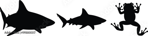 Foto Black silhouette collection of predatory bull sharks and a jumping tree frog iso