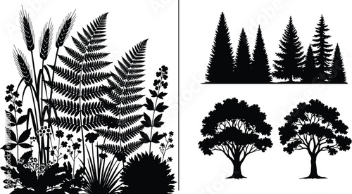 Forest tree and wild plant silhouettes collection, botanical foliage meadow grass and pine woodland vector illustration set