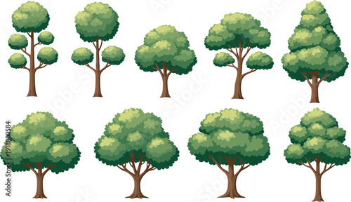 Collection of cartoon-style trees with diverse shapes, foliage patterns, and trunk designs, ideal for educational materials, landscape design, and creative artistic inspiration projects