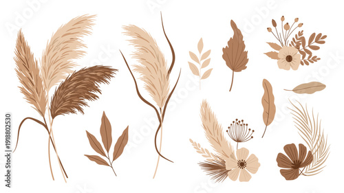 A beautiful collection of pampas grass, dried flowers, and botanical elements in warm, earthy tones, perfect for bohemian and natural design aesthetics.