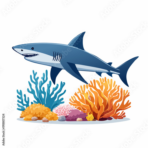 shark and fish