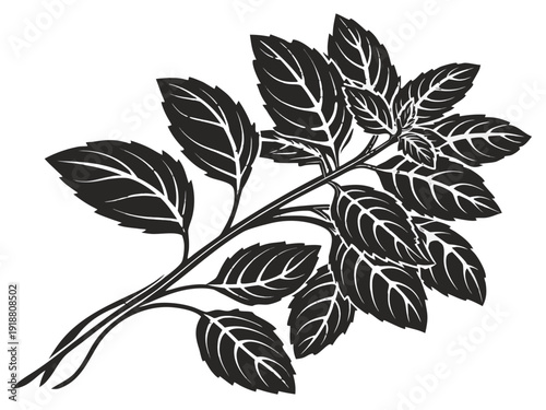 Mint Leaves Sprig Herb Icon Clip Art Vector Illustration