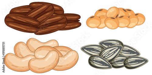 Assorted Nuts and Seeds Vector Illustration on White