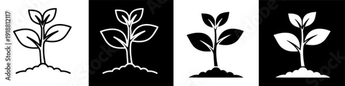 Two white illustrations of plants sprouting from soil on black background
