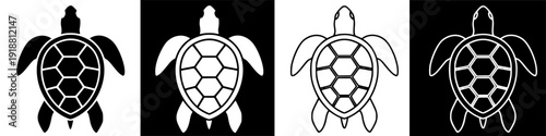 Turtles are depicted in illustrations on a black background.