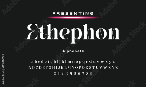 Elegant ligature alphabet letters font logo. Typography luxury classic lettering serif fonts decorative wedding vintage retro logos, design for fashion,beauty shop and brand . vector illustration