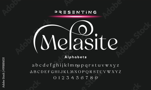 Elegant ligature alphabet letters font logo. Typography luxury classic lettering serif fonts decorative wedding vintage retro logos, design for fashion,beauty shop and brand . vector illustration