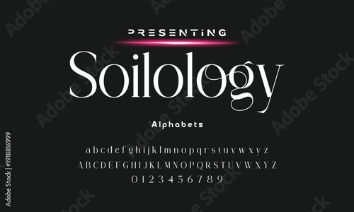 Elegant ligature alphabet letters font logo. Typography luxury classic lettering serif fonts decorative wedding vintage retro logos, design for fashion,beauty shop and brand . vector illustration