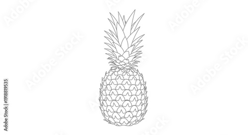 pineapple line art illustration