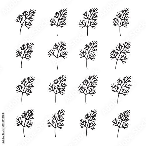 Herbs pattern close-up of dill sprigs vector illustration