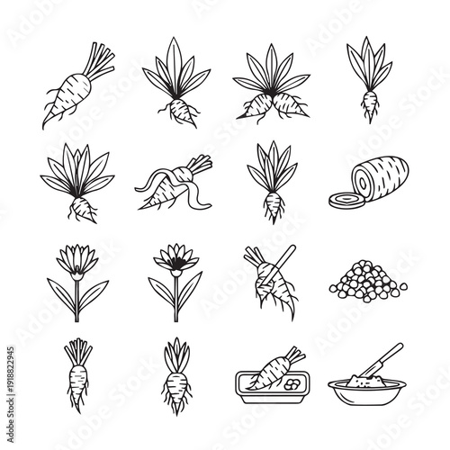 Root Vegetables and Flowers Line Art CollectionParsnip and Turnip Icons