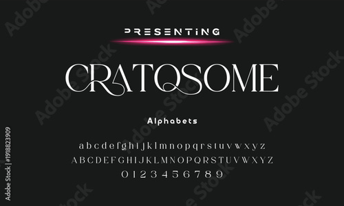 Lettering Minimalist Fashion. Elegant alphabet letters serif font and number. Typography fonts regular uppercase, lowercase.