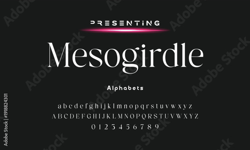 Lettering Minimalist Fashion. Elegant alphabet letters serif font and number. Typography fonts regular uppercase, lowercase.