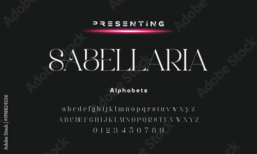 Lettering Minimalist Fashion. Elegant alphabet letters serif font and number. Typography fonts regular uppercase, lowercase.