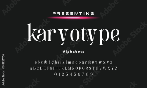 Lettering Minimalist Fashion. Elegant alphabet letters serif font and number. Typography fonts regular uppercase, lowercase.