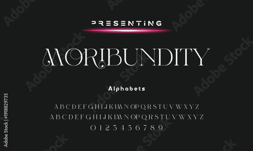 Lettering Minimalist Fashion. Elegant alphabet letters serif font and number. Typography fonts regular uppercase, lowercase.